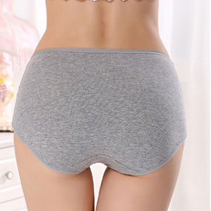 hipster panties high waist underwear packs cotton underpants for women tummy control panties cotton