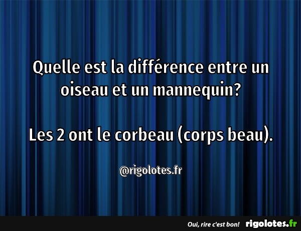 Quelle est la différence entre un mannequin et un top model ?