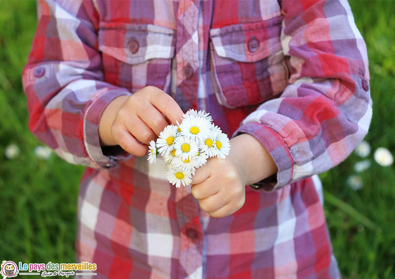 Comment faire une couronne avec des pâquerettes ?