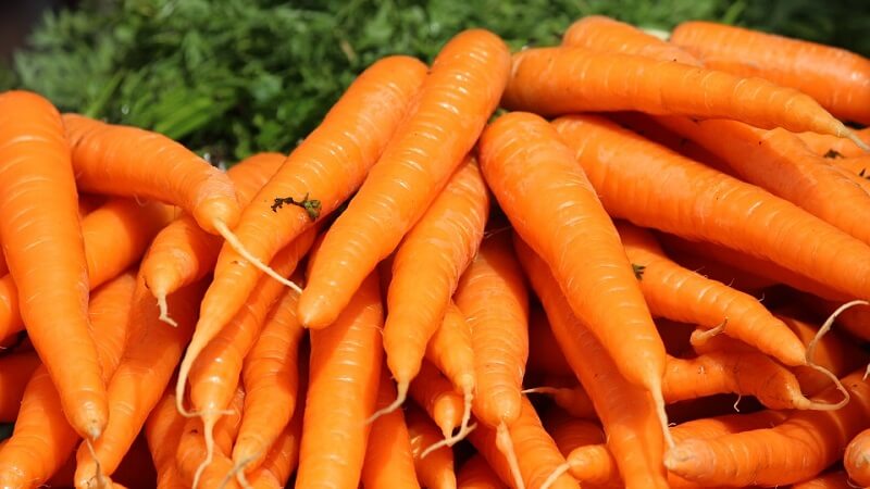 Pourquoi la carotte est jaune ?