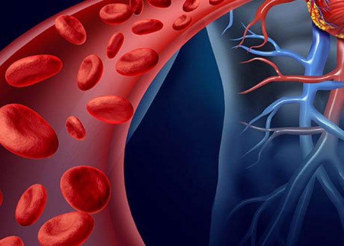 Comment savoir si on a un problème de circulation sanguine ?