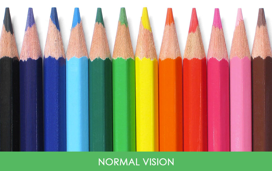 Comment les daltoniens voient les couleurs ?