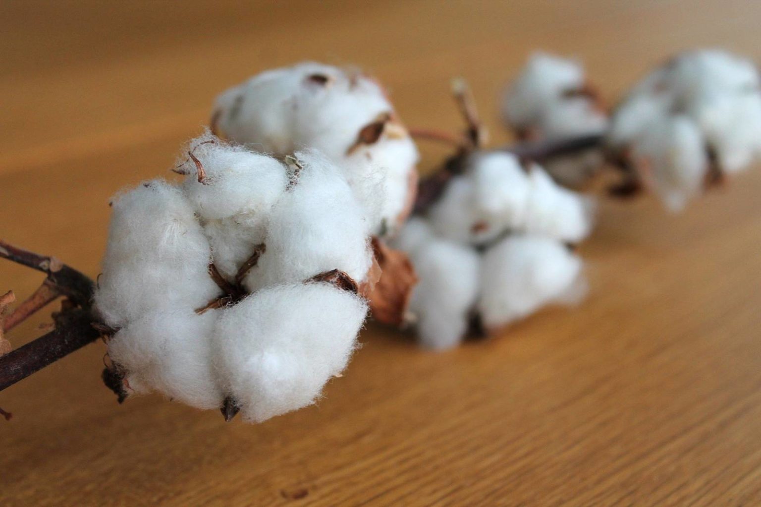 Astuces Quelle différence entre flanelle et coton