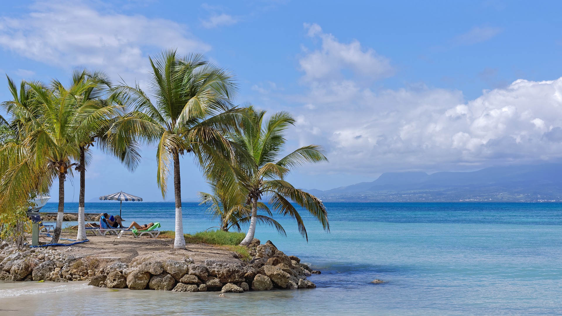 Où trouver des crocs en Guadeloupe ?