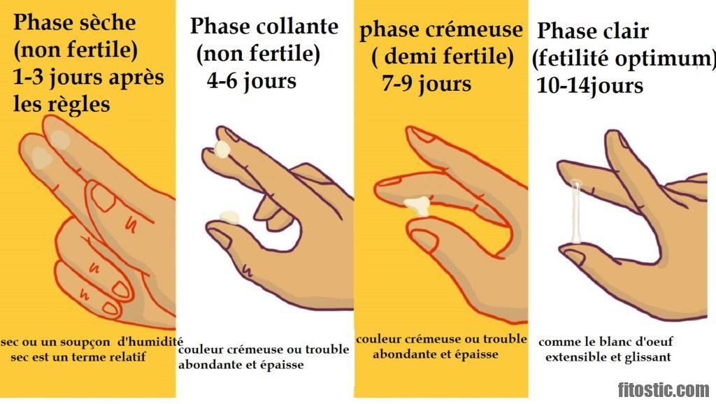 Comment Est L Urine En Debut De Grossesse Comment Est L Urine En Debut De Grossesse