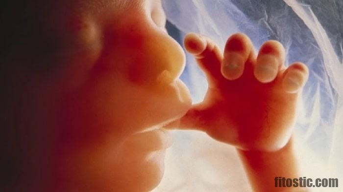 Est Ce Que Le Fœtus Ressent La Faim Est Ce Que Le Fœtus Ressent La Faim