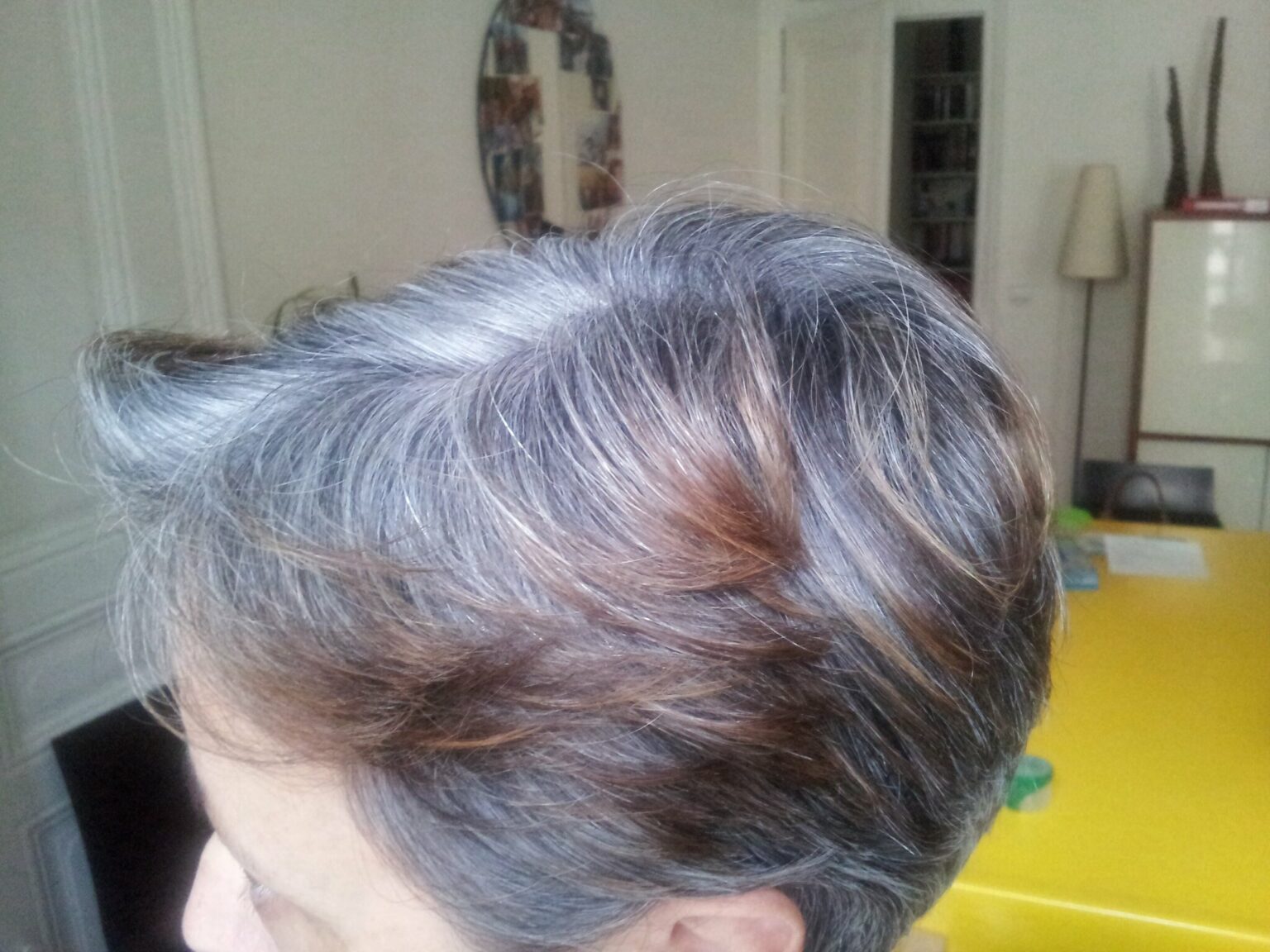 Quelle Couleur De Mèches Sur Des Cheveux Poivre Et Sel