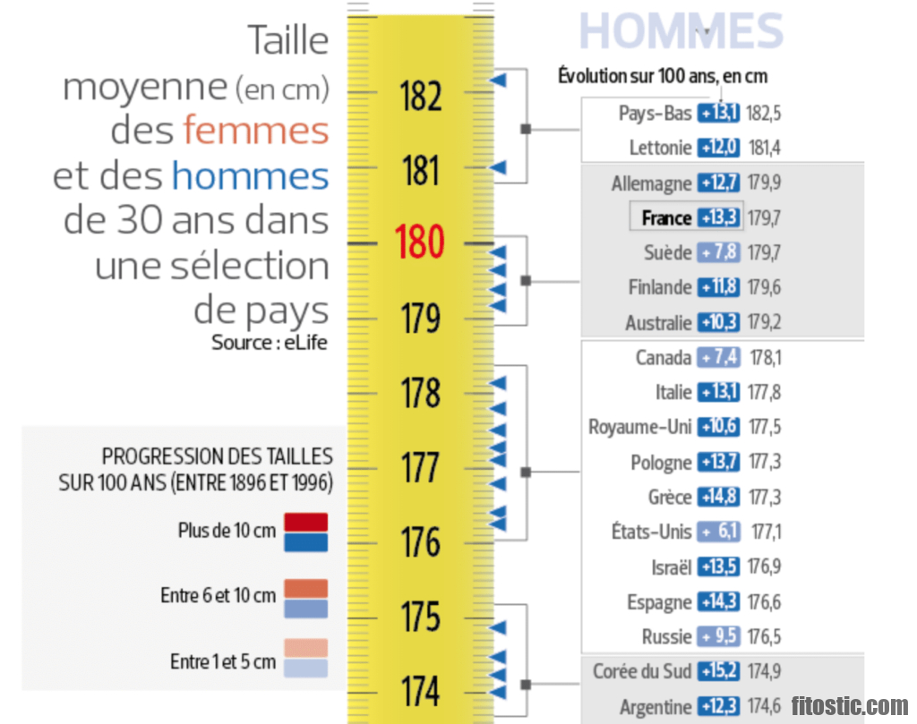 tour de taille selon taille