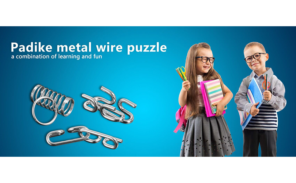 metal wire puzzle