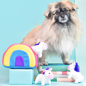 Studio shot of a small dog playing with the unicorn burrow toy