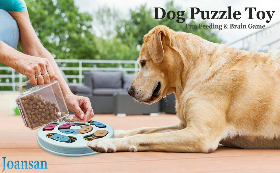 puppy puzzle toy