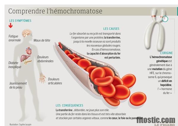 C'est quoi une anémie régénérative ?