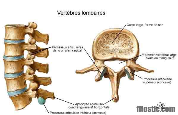 C'est quoi une sténose spinale ?