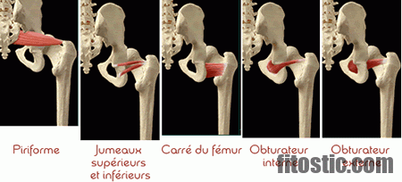 Comment assouplir l'arrière des genoux ?