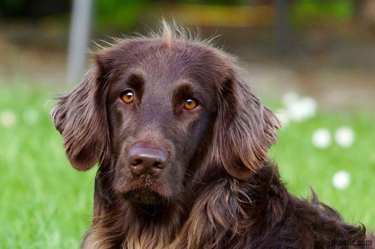 Comment calmer les brûlures d'estomac naturellement ?  Fitostic.com