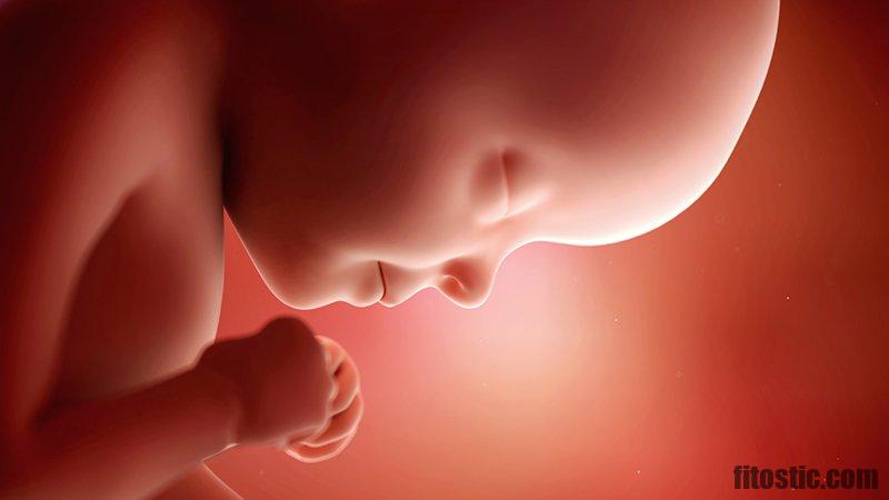Comment connaître la position du bébé dans son ventre ?