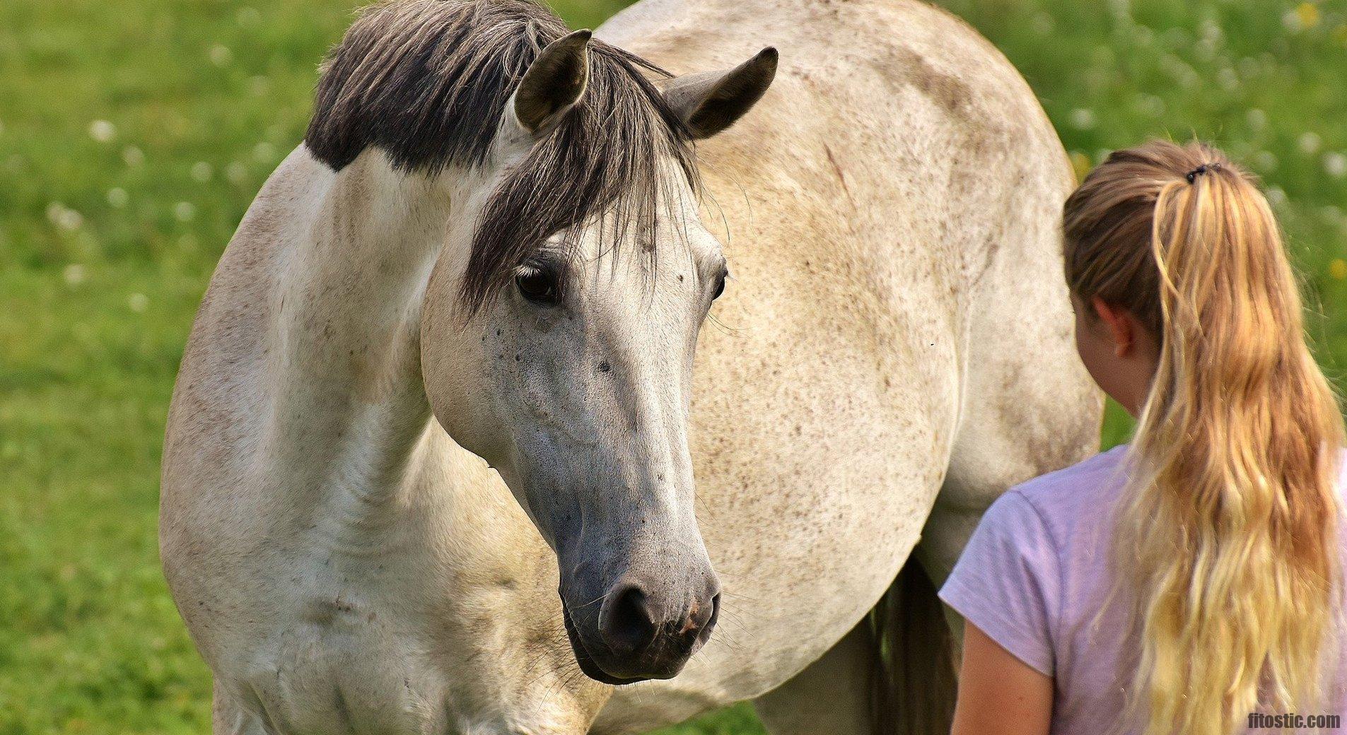 Comment créer un cheval bâton ?