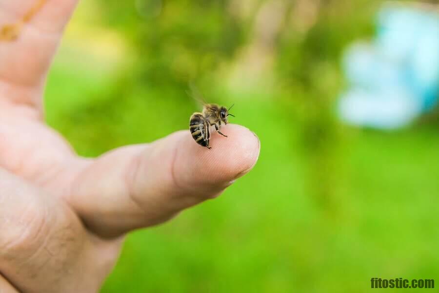 Comment faire après une piqûre d'abeille ?