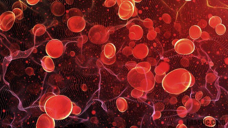 Comment faire baisser le taux de globules rouges ?