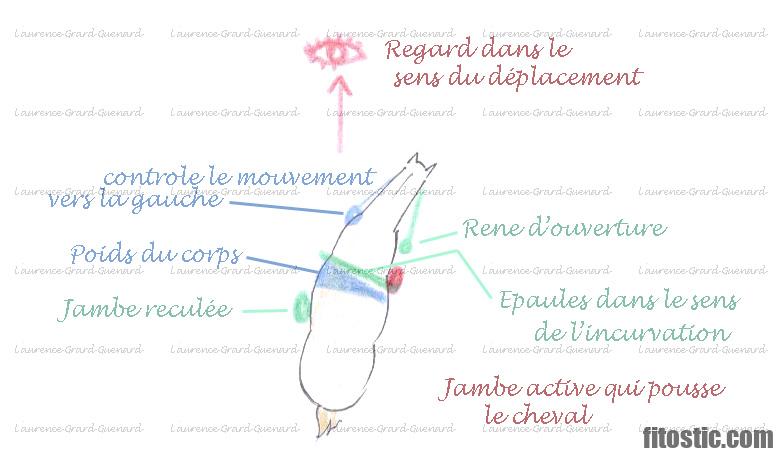 Comment faire la position du scorpion ?