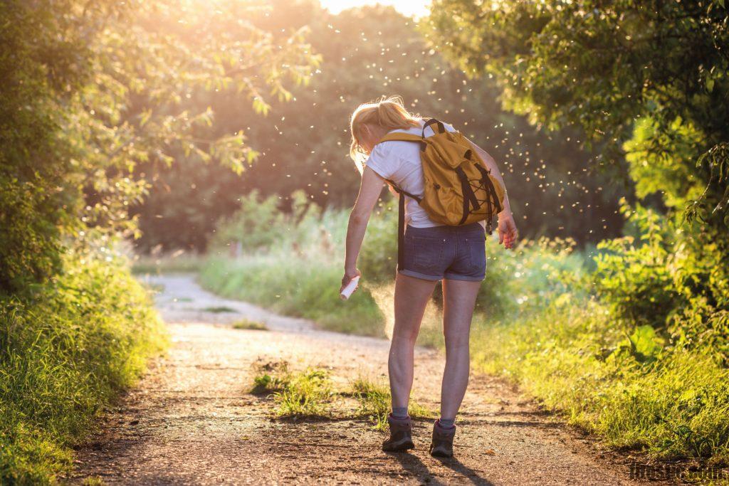 Comment faire pour dégonfler une piqûre de guêpe ?