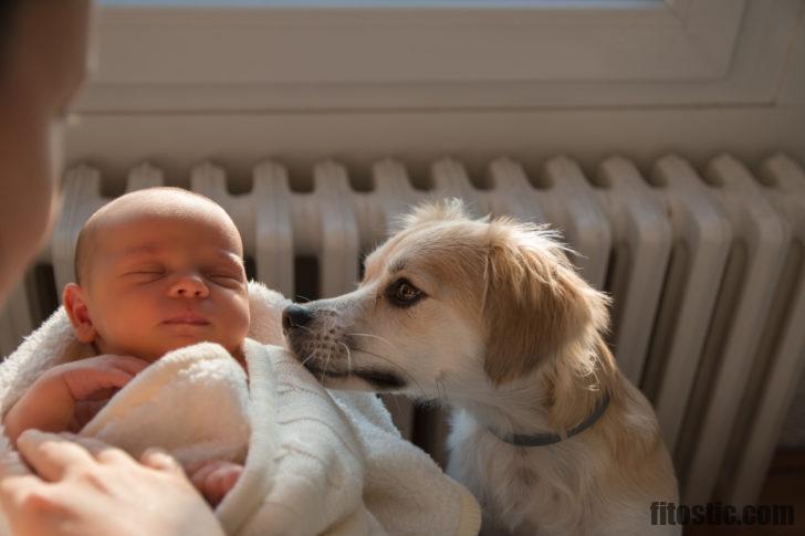 Comment faire pour que papa sentir bébé bouger ?