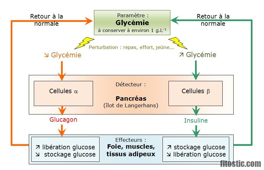 Comment faire remonter le taux de cortisol ?