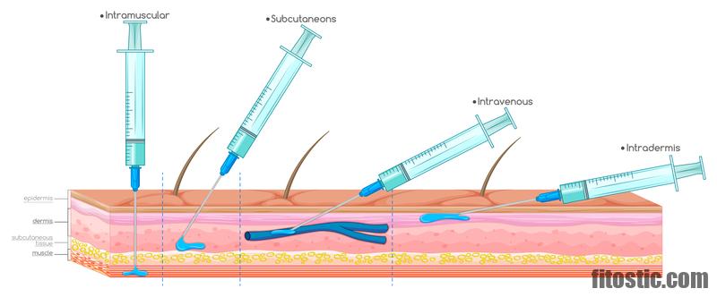 Comment faire une infusion de bourrache ?