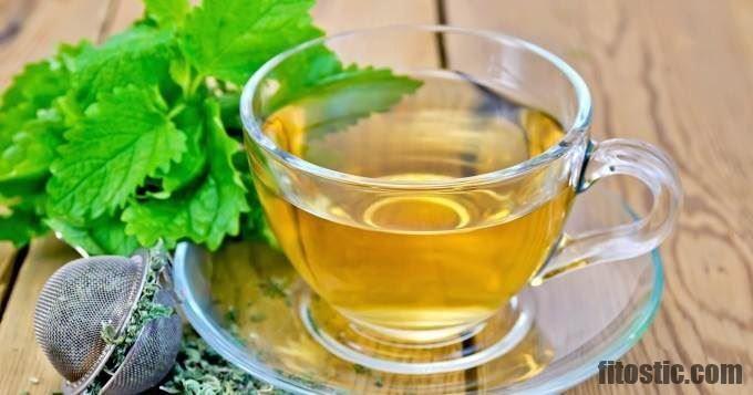 Comment faire une tisane de pissenlits ?