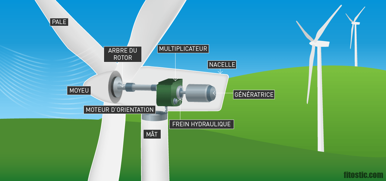 Comment fonctionne le larynx ?