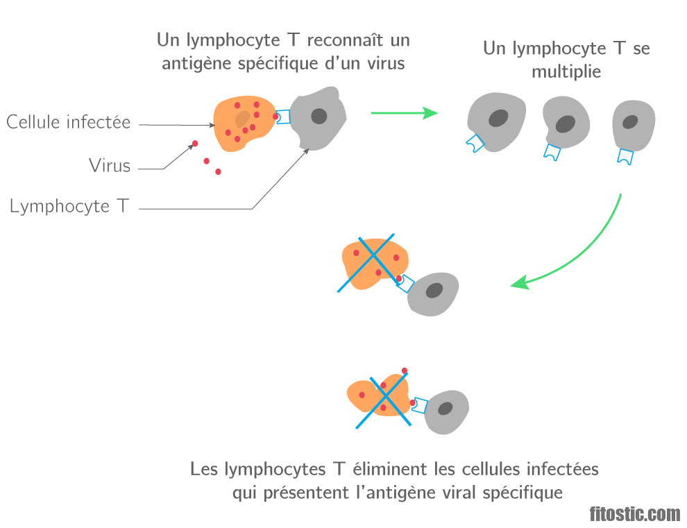 Comment guérir d'une folliculite ?