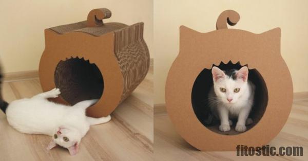 Comment Guerir Un Chat Qui Boite Fitostic Com Sport Mode Beaute Lifestyle Magazine Comment Guerir Un Chat Qui Boite Fitostic Com Sport Mode Beaute Lifestyle Magazine