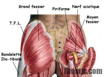 Comment guérir une dechirure musculaire à la cuisse ?