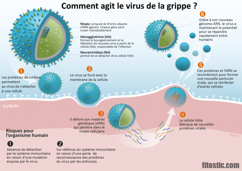 Comment prendre le vaccin homéopathique de la grippe ?