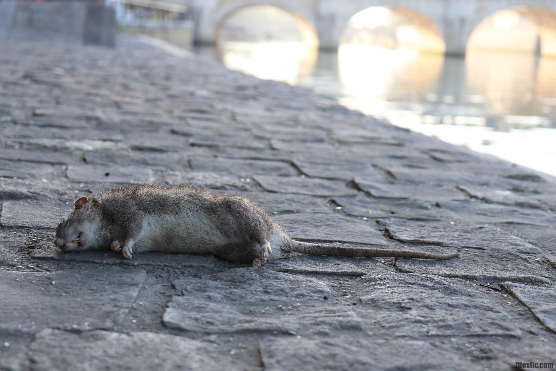 Comment prendre les gouttes de Tercian ?