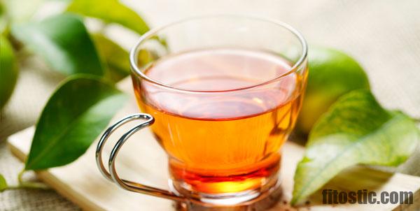 Comment préparer une tisane de mauve ?