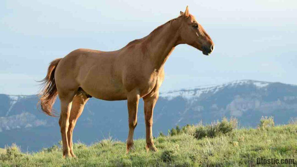 Comment reconnaître une urine mousseuse ?