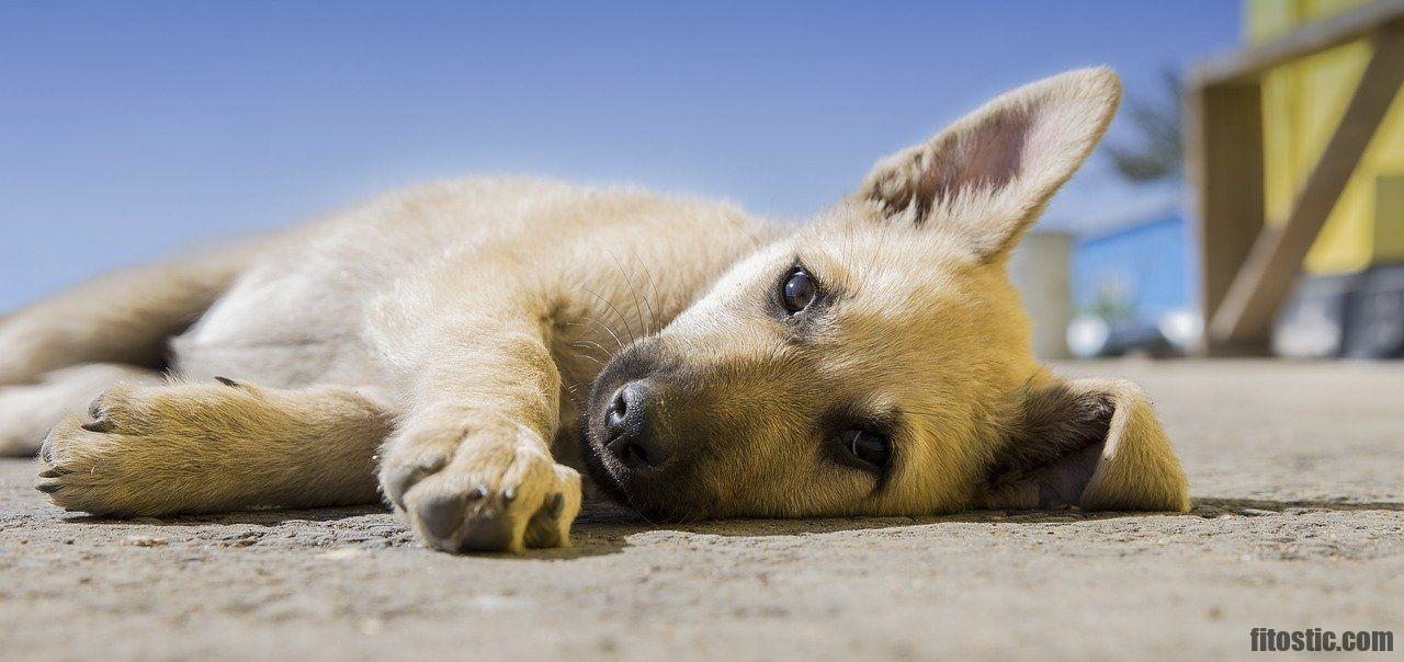 Comment reconnaître vomissement Nouveau-né ?