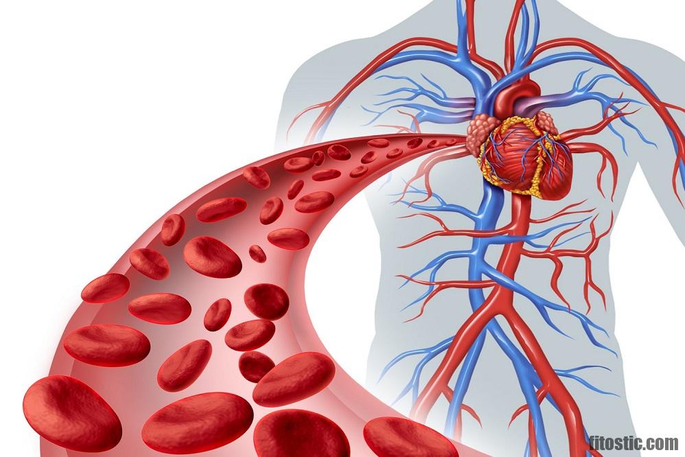 Comment régler un problème de circulation sanguine ?