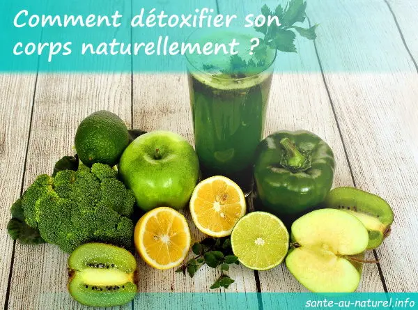 Comment repousser les poux naturellement ?