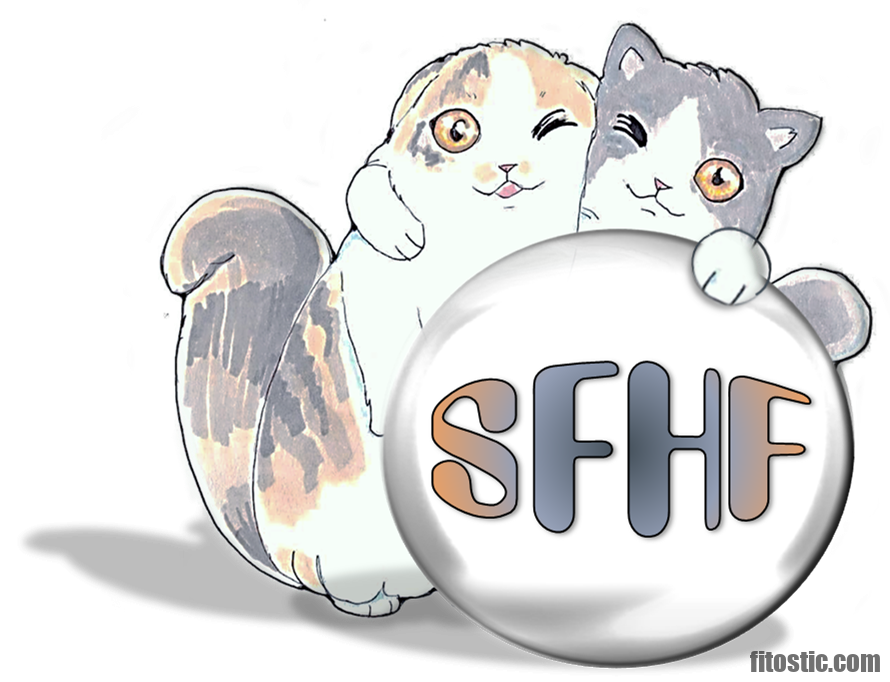 Comment Savoir Si Mon Chat A De La Fievre Sans Thermometre Fitostic Com Sport Mode Beaute Lifestyle Magazine Comment Savoir Si Mon Chat A De La Fievre Sans Thermometre Fitostic Com Sport Mode Beaute Lifestyle Magazine