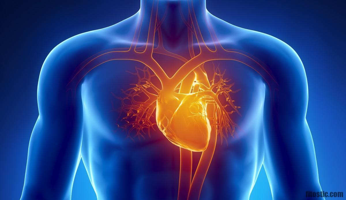 Comment se manifeste une toux cardiaque ?