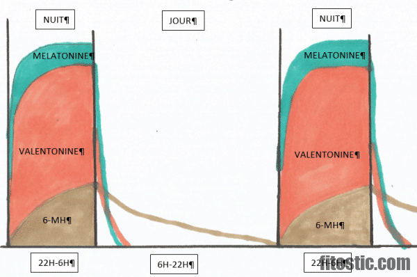 Comment stimuler l'hormone du sommeil ?