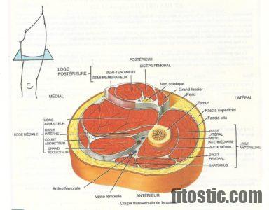 Comment traiter le syndrome de l'Essuie-glace ?