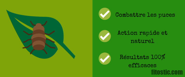 Comment Utiliser La Terre De Diatomee Contre Les Puces Dans La Maison Fitostic Com Sport Mode Beaute Lifestyle Magazine Comment Utiliser La Terre De Diatomee Contre Les Puces Dans La Maison Fitostic Com Sport Mode Beaute Lifestyle Magazine