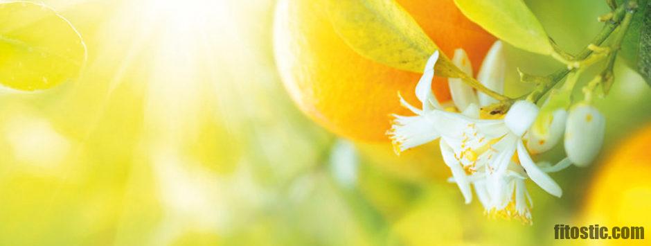 Comment utiliser l'eau de fleur d'oranger pour dormir ?