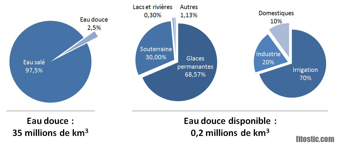 Est-ce dangereux de boire 4 litres d'eau par jour ?