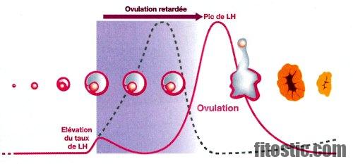 Est-ce que la pilule est fiable à 100 ?