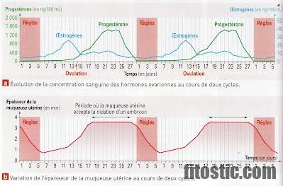 Est-ce que la pilule protège pendant les 7 jours d'arrêt ?