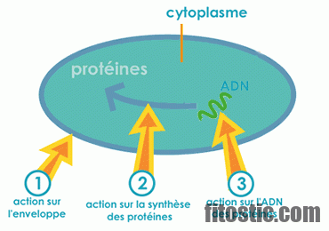 Est-ce que le métronidazole est un antibiotique ?